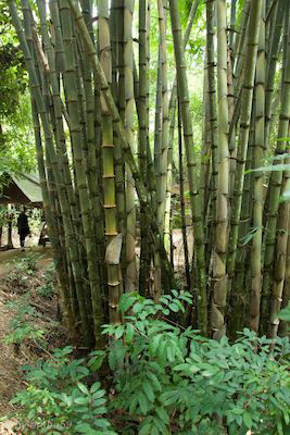 vn_september_15_00022